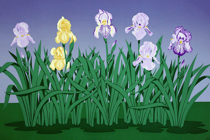 Irises<BR>1990<BR>23in x 35in<BR>Off-White Paper<BR>Colors: 11<BR>Number Produced: 72<BR>$125